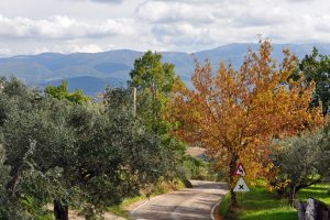 Italy autumn in photos