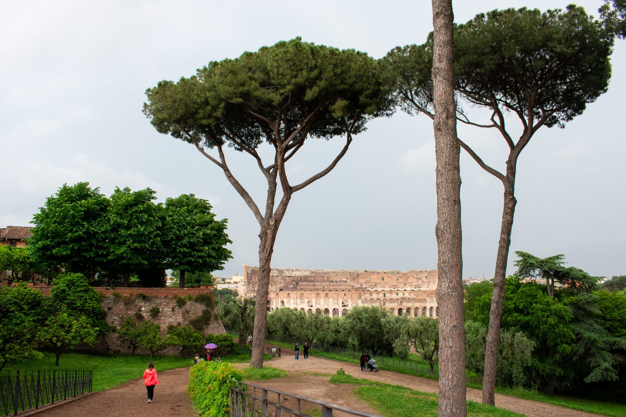 Is the Colosseum underground worth it?