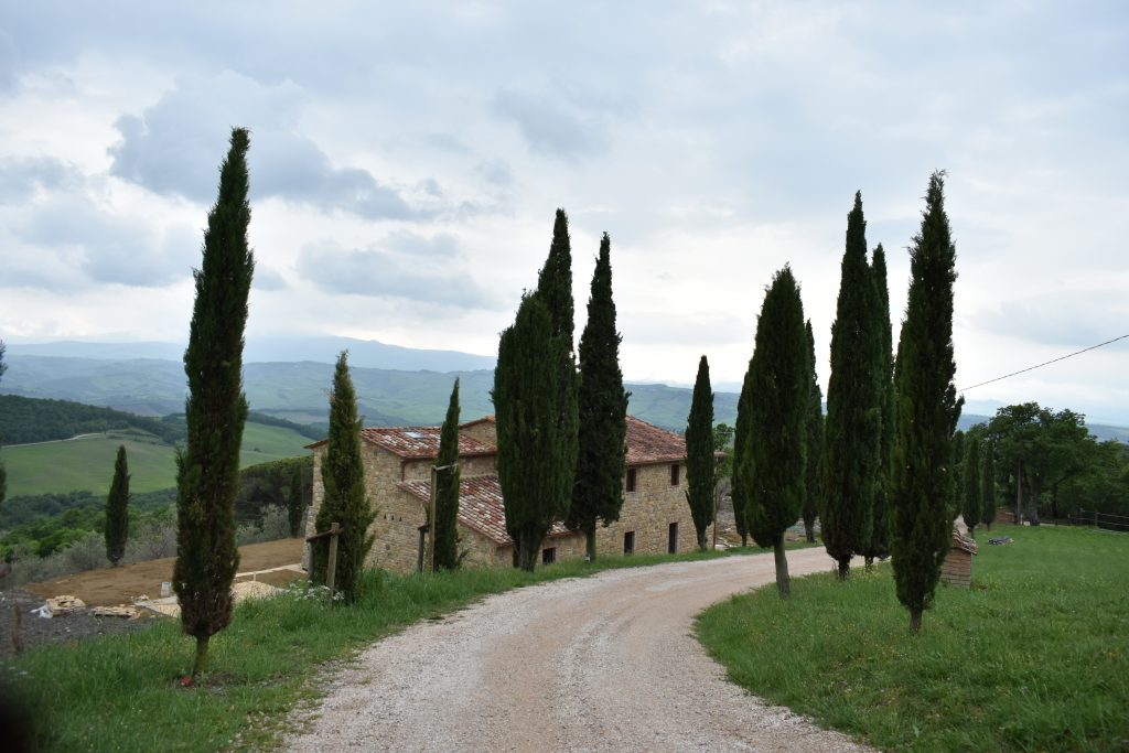 A rural road in Tuscany for driving in Italy tips post